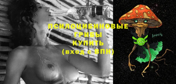 эйфоретик Нефтекумск