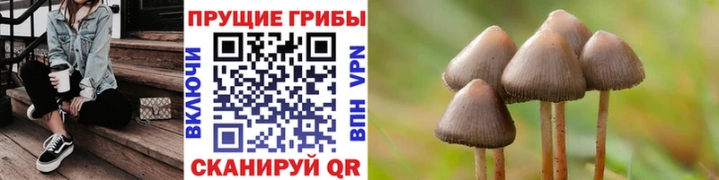 Галлюциногенные грибы мицелий  где продают   Архангельск 