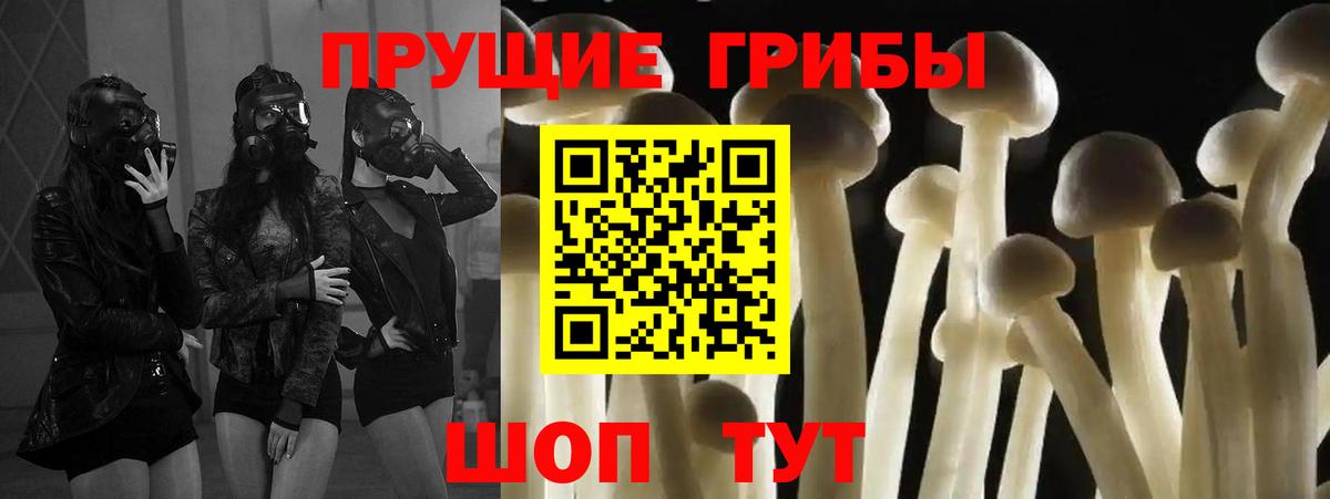 Марихуана Архангельск