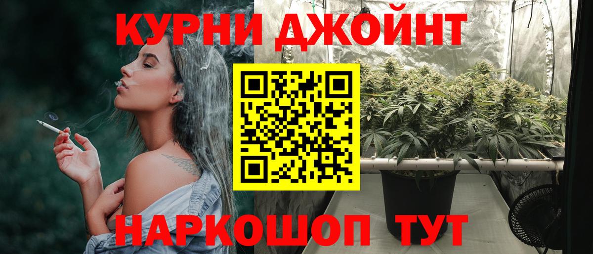 Каннабис сатива Архангельск